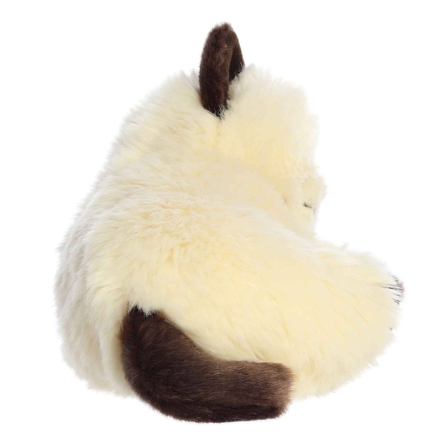 Aurora Miyoni Tots 10" Sleepy Himalayan Kitten image 2