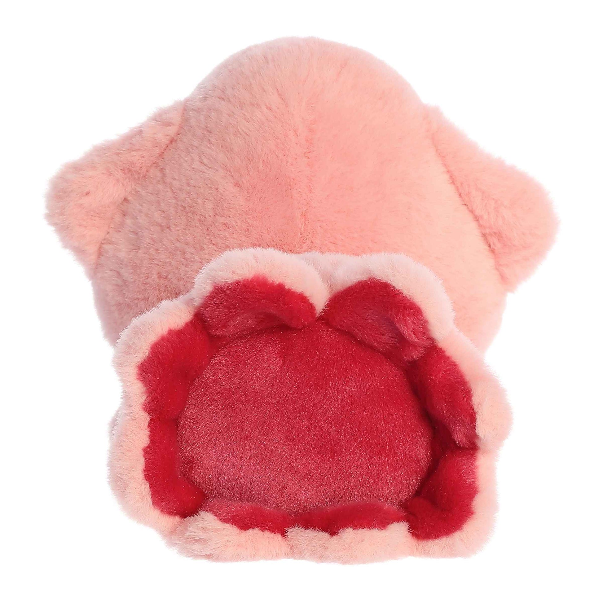 Aurora Too Cute Skyler Squid image 3