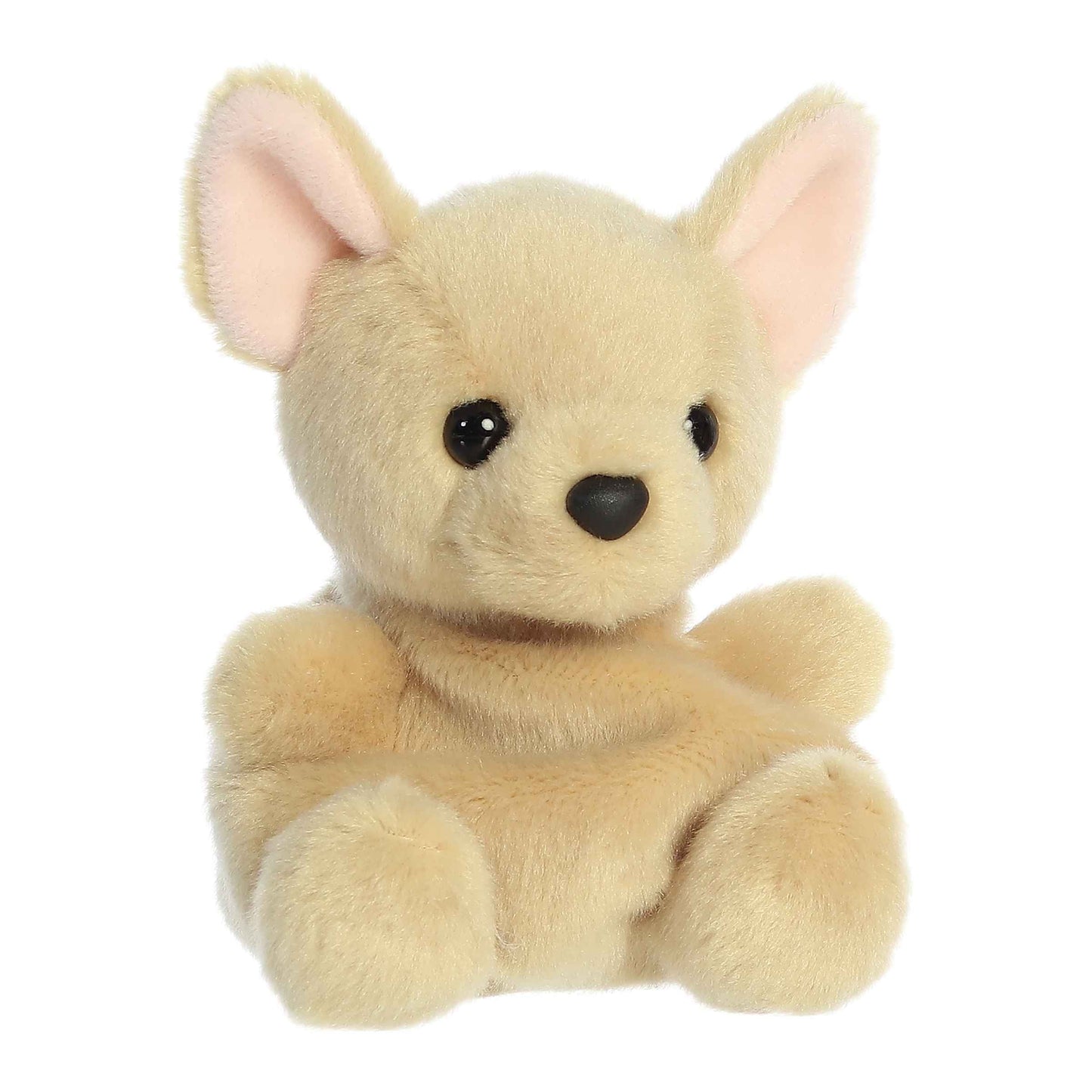 Palm Pals Cookie Chihuahua image 1