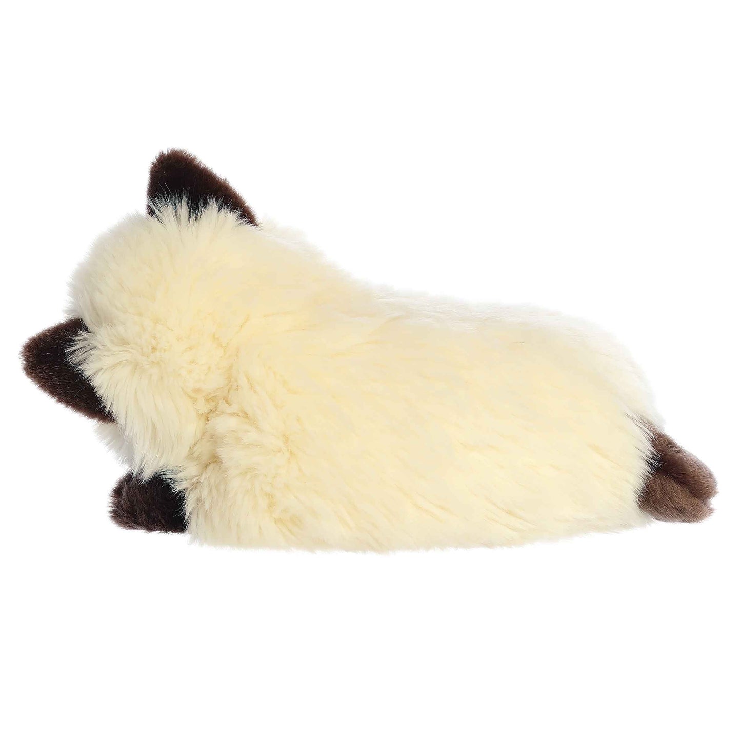 Aurora Miyoni Tots 10" Sleepy Himalayan Kitten image 3