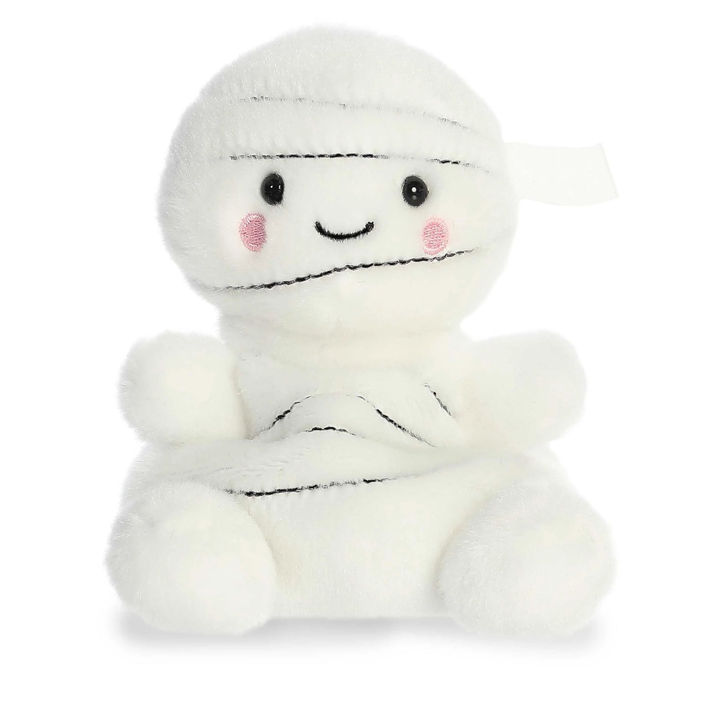 Palm Pals Brendan Mummy image 0