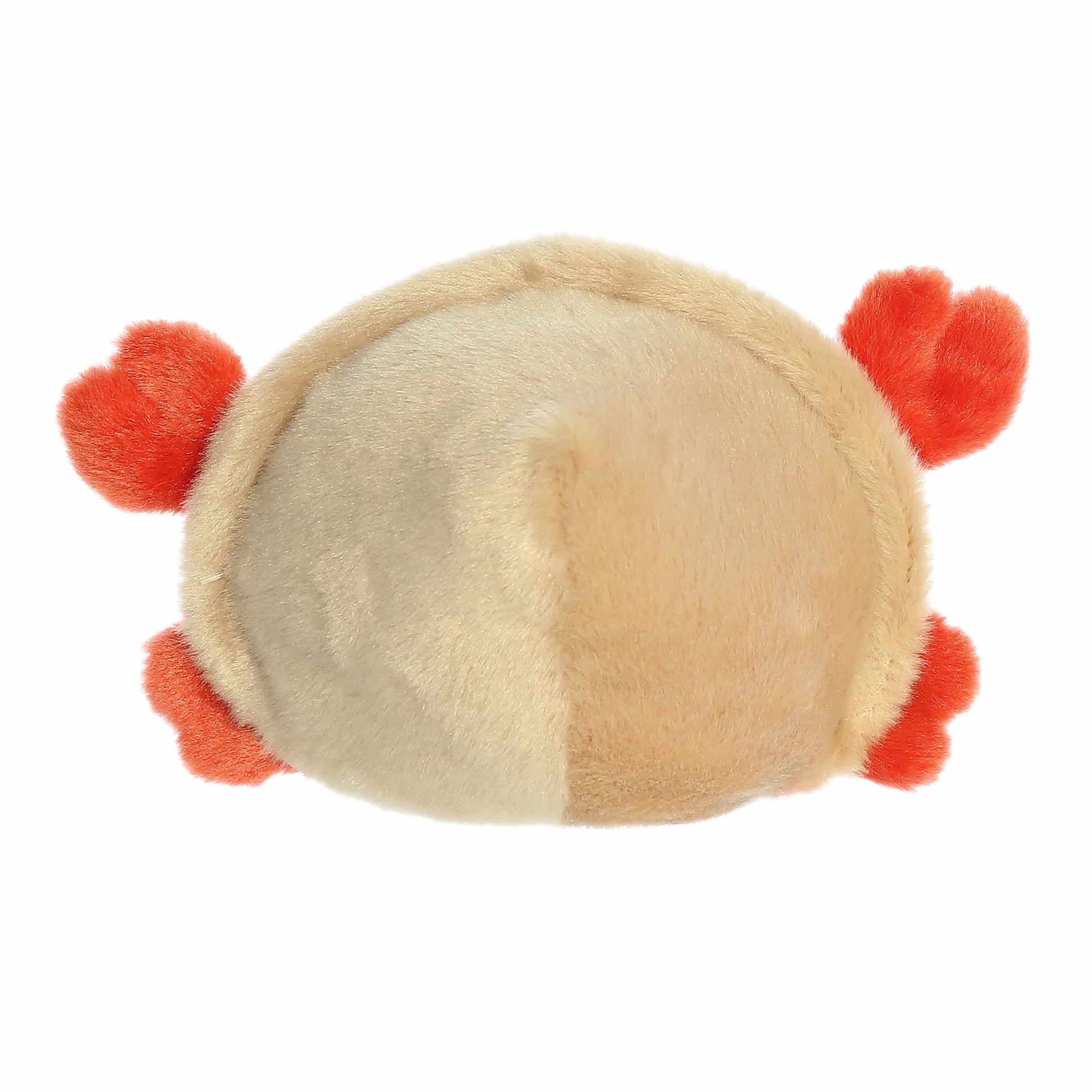 Palm Pals Tide Hermit Crab image 3
