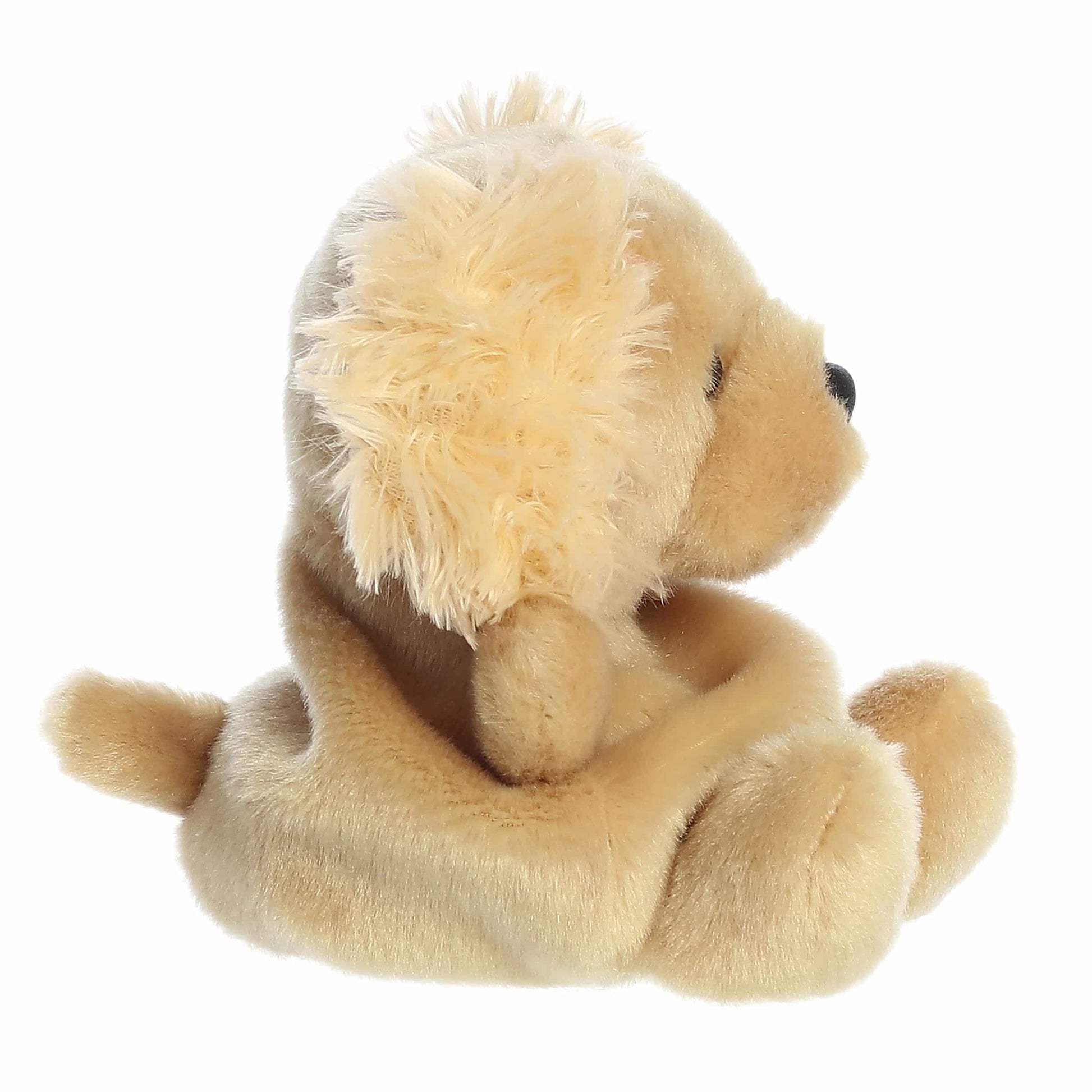 Palm Pals Oatmeal Goldendoodle image 2