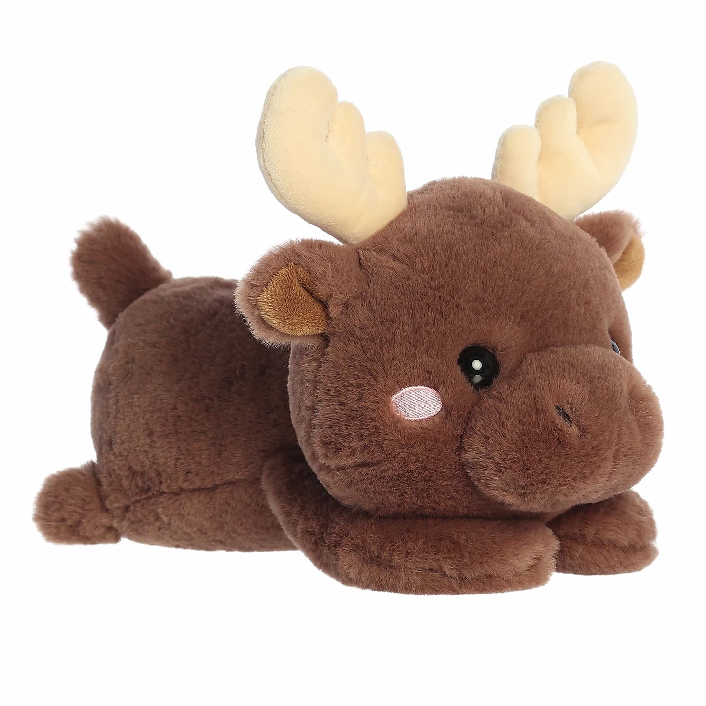 Aurora Too Cute Matty Moose