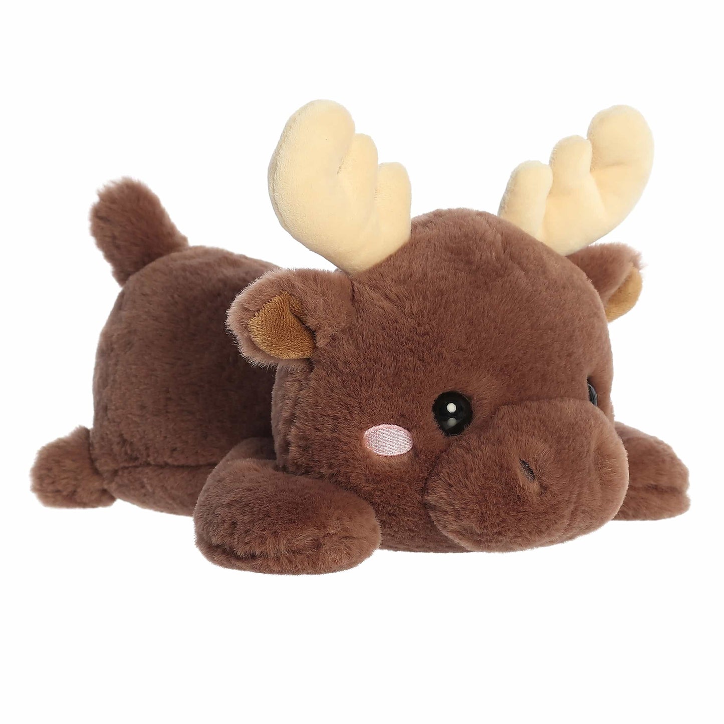 Aurora Too Cute Matty Moose