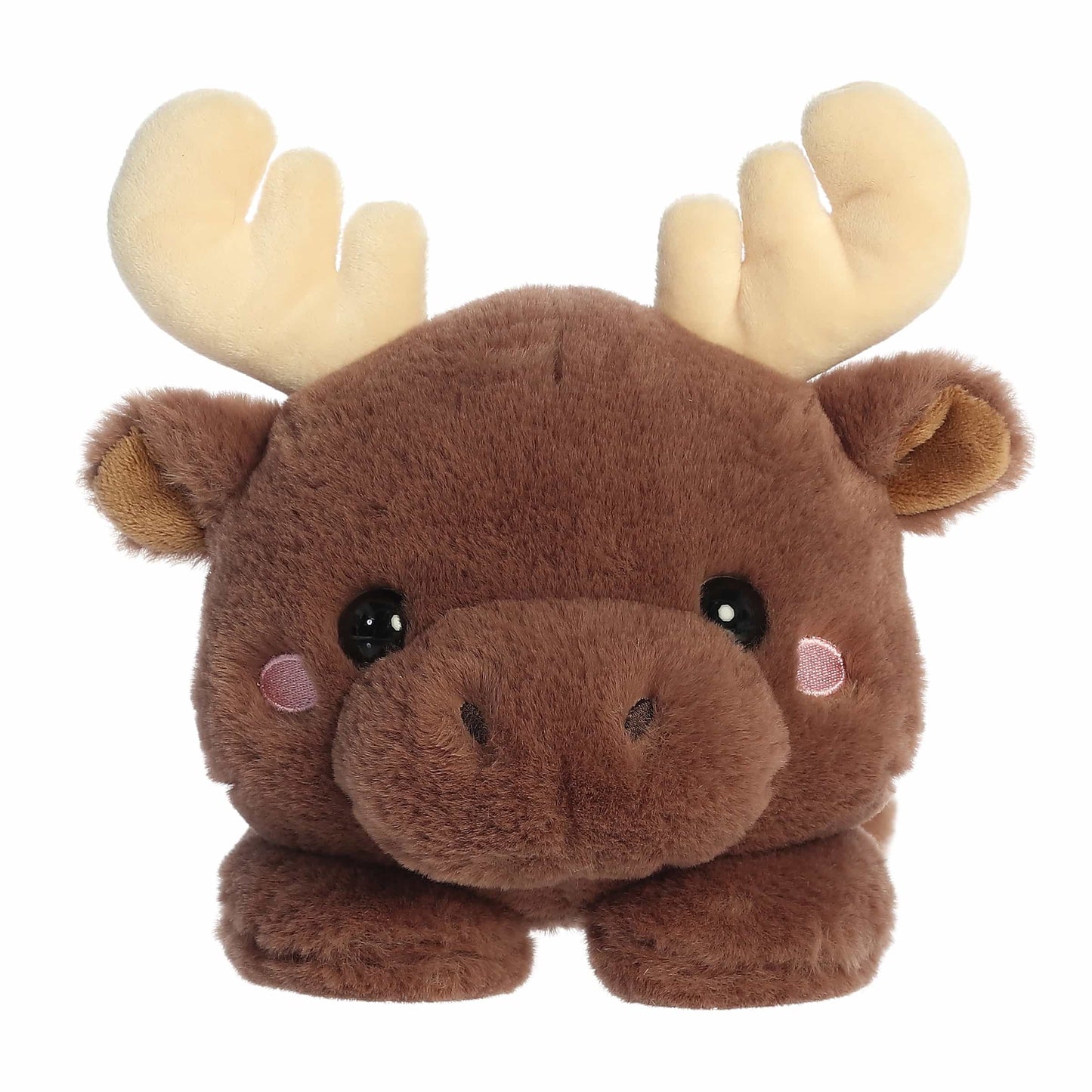 Aurora Too Cute Matty Moose