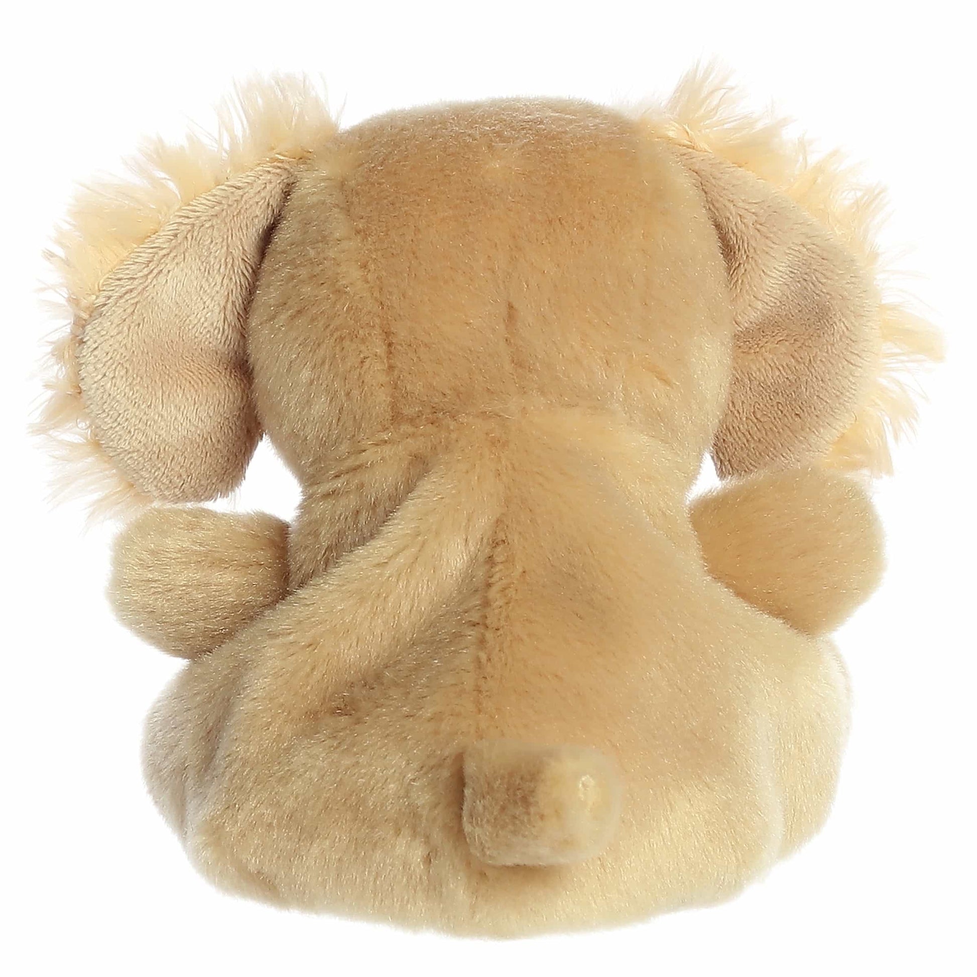 Palm Pals Oatmeal Goldendoodle image 3