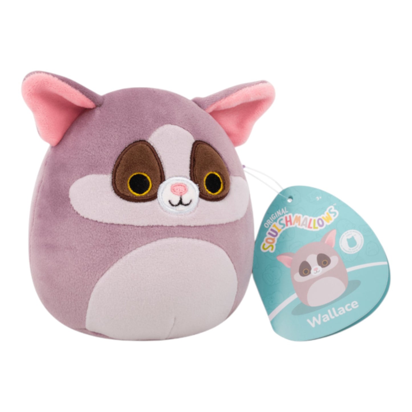 New 5" Fall Squishmallows 2025 - First to Market Wallace Bush Baby