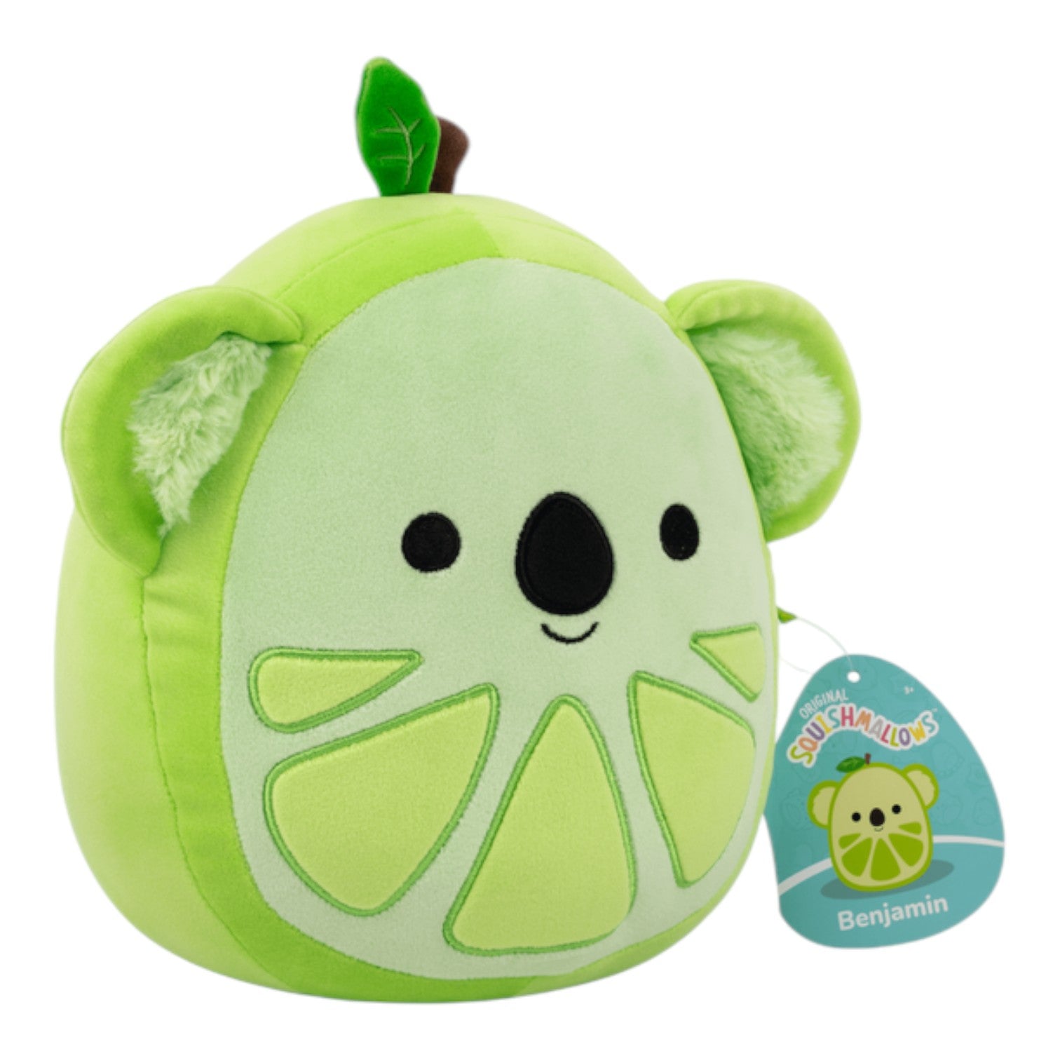 New 8" Squishmallows 2025 at ReChild Benjamin the green kiwi koala