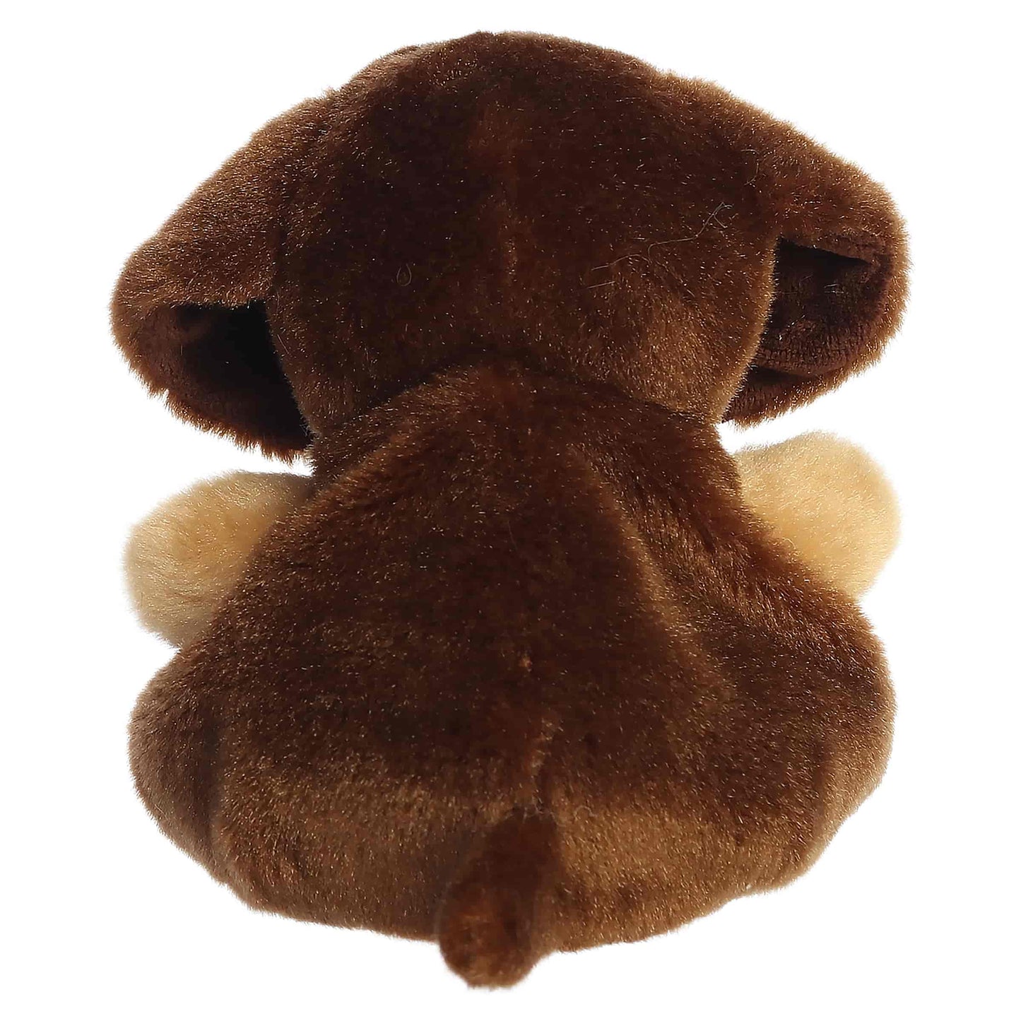 Palm Pals Houdini Dachshund plush featuring fluffy brown fur, a creamy muzzle, and sweet floppy ears.
