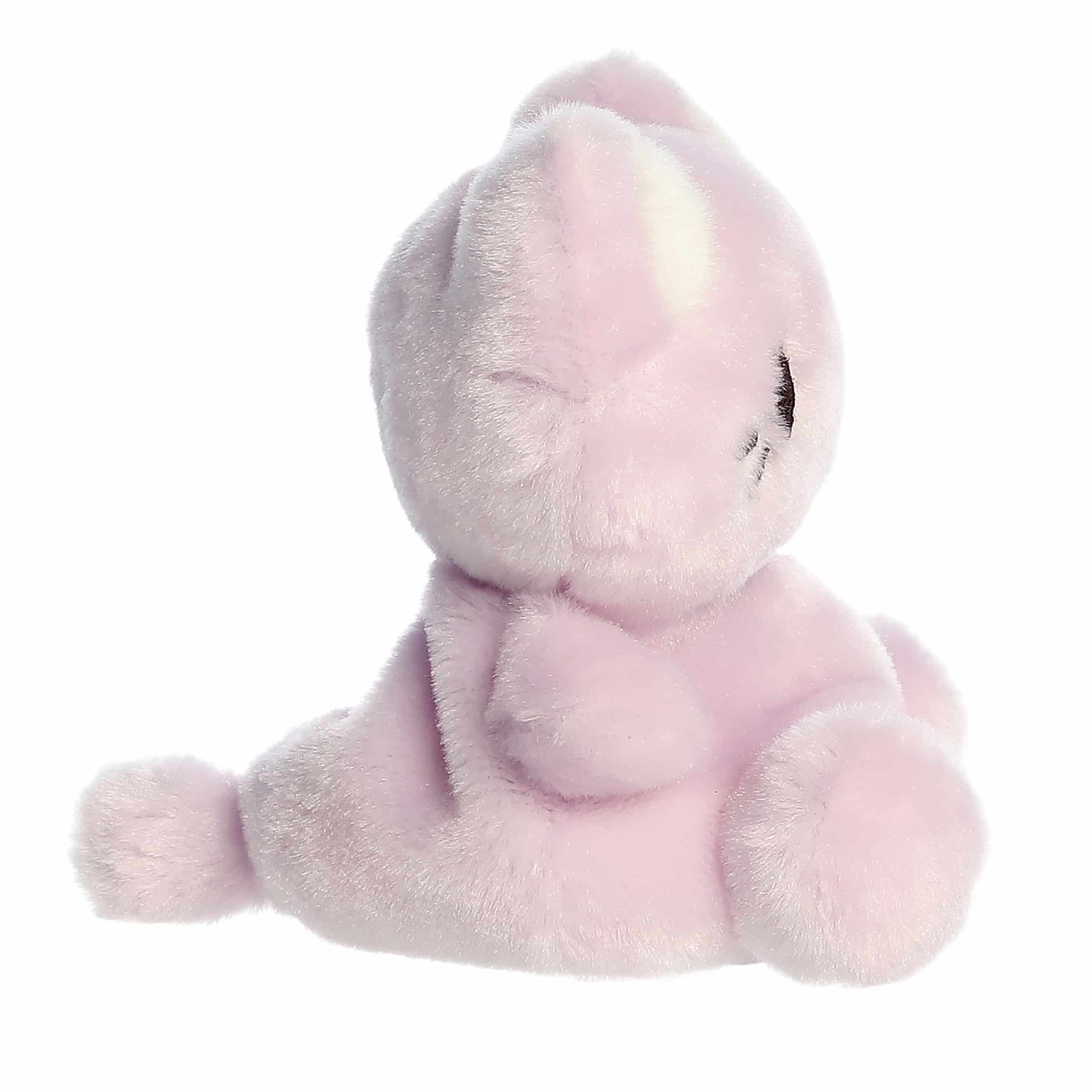 Palm Pals Taro Meowchi