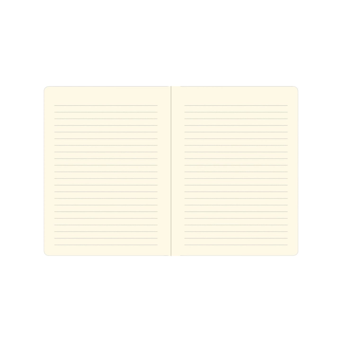 Two open pages of a notebook with lined paper on a white background