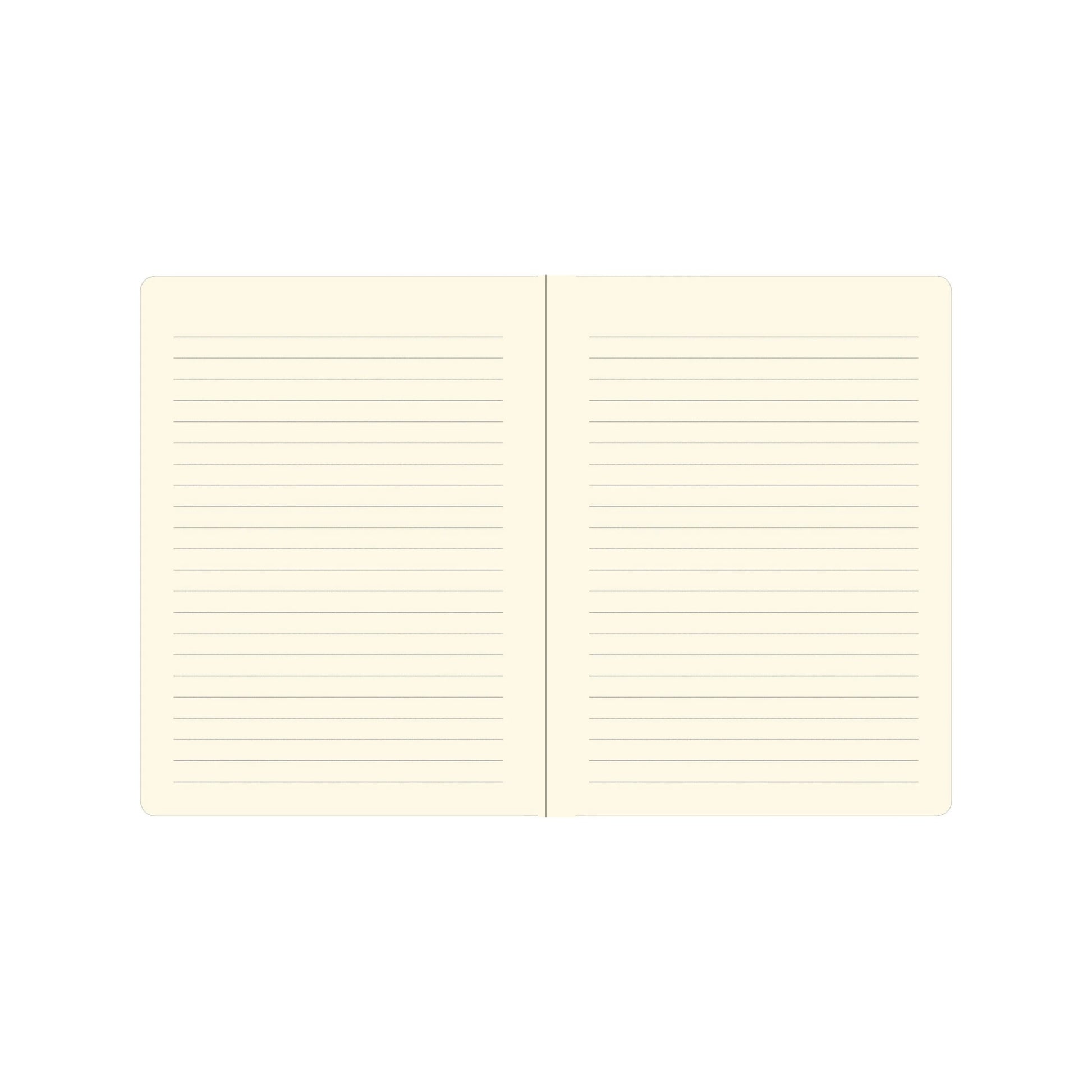 Two open pages of a notebook with lined paper on a white background