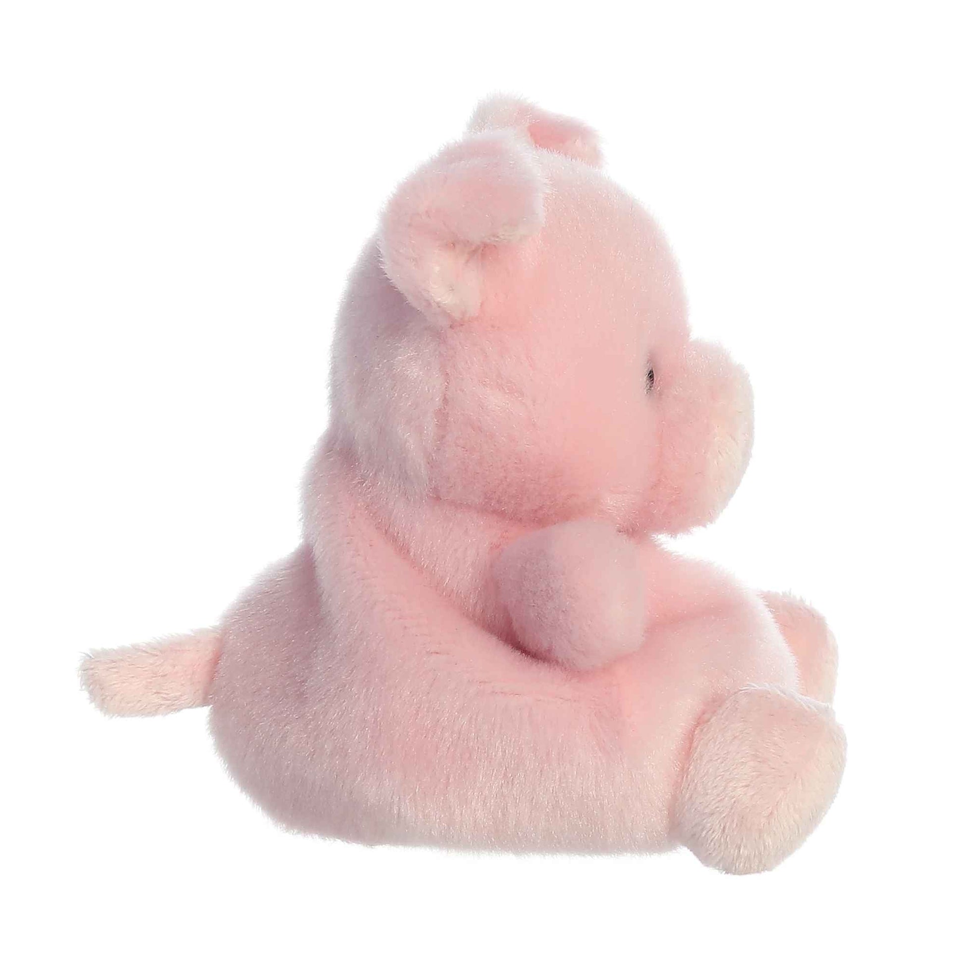 Palm Pals Wizard Pig image 2
