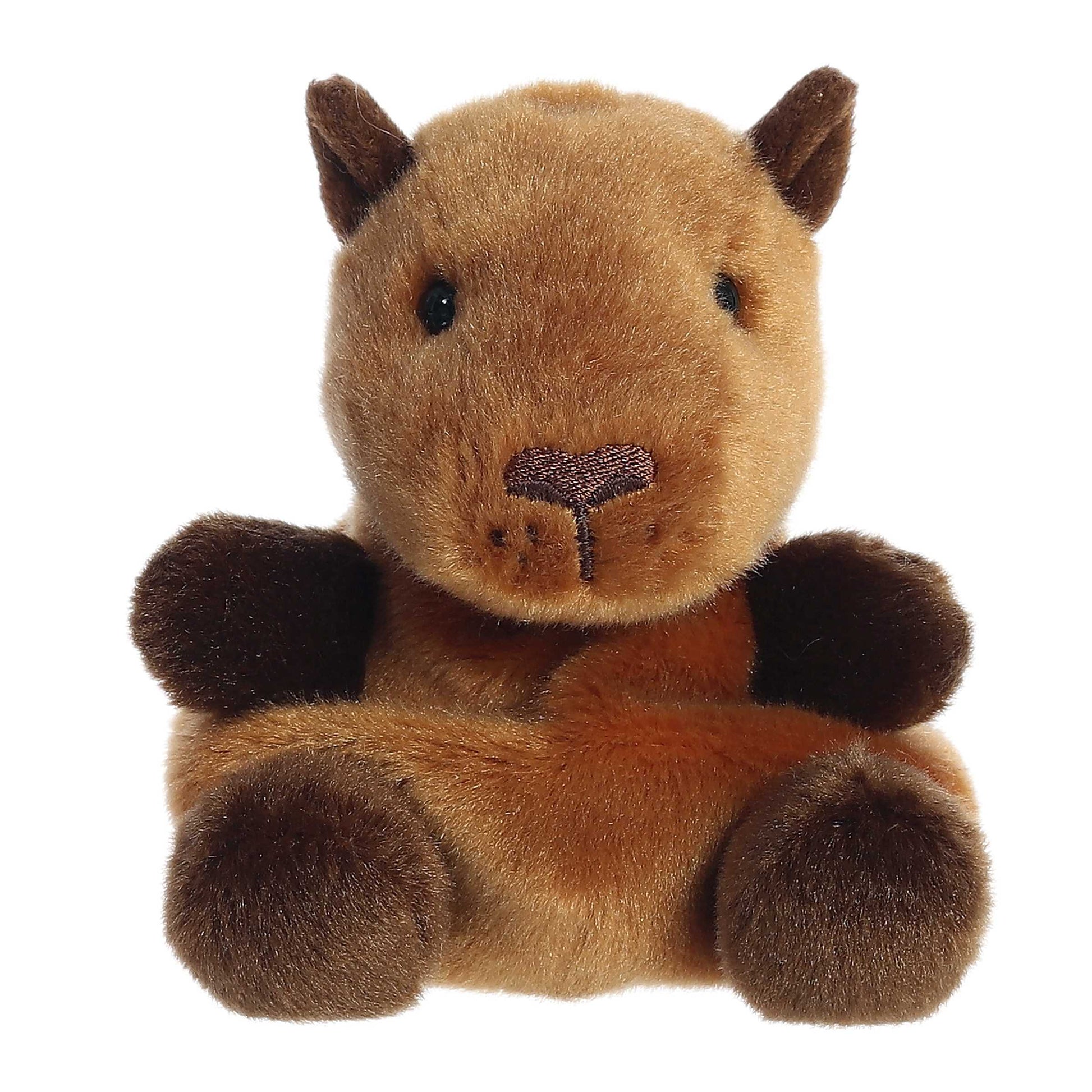 Palm Pals Sid Capybara image 0