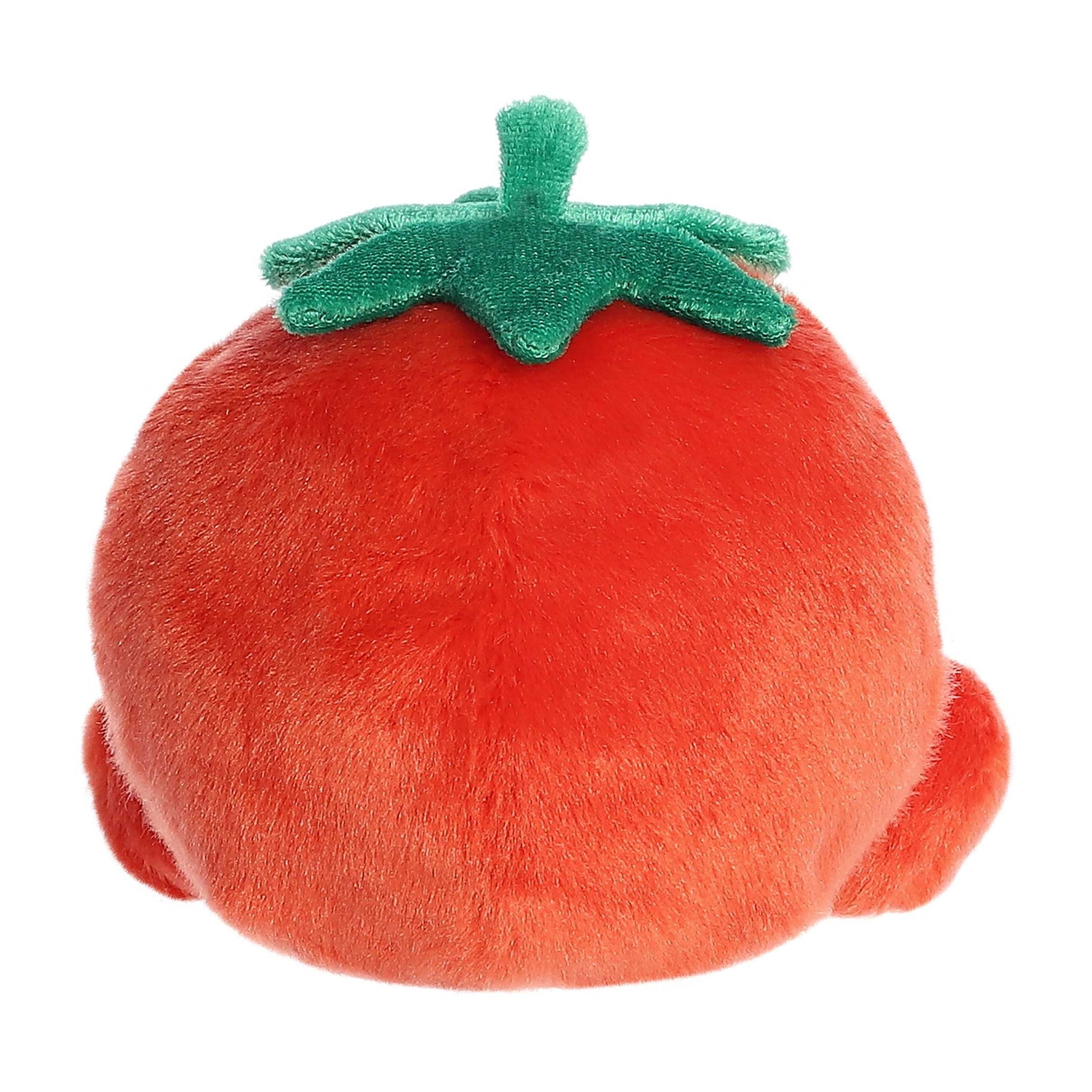 Palm Pals Boyd Tomato image 3