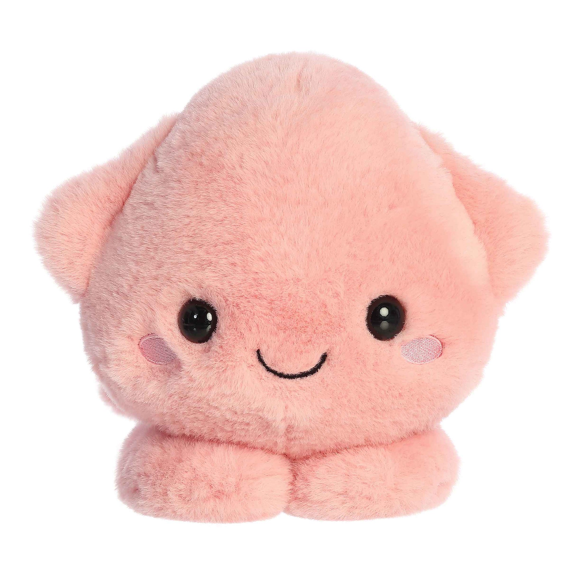 Aurora Too Cute Skyler Squid image 1