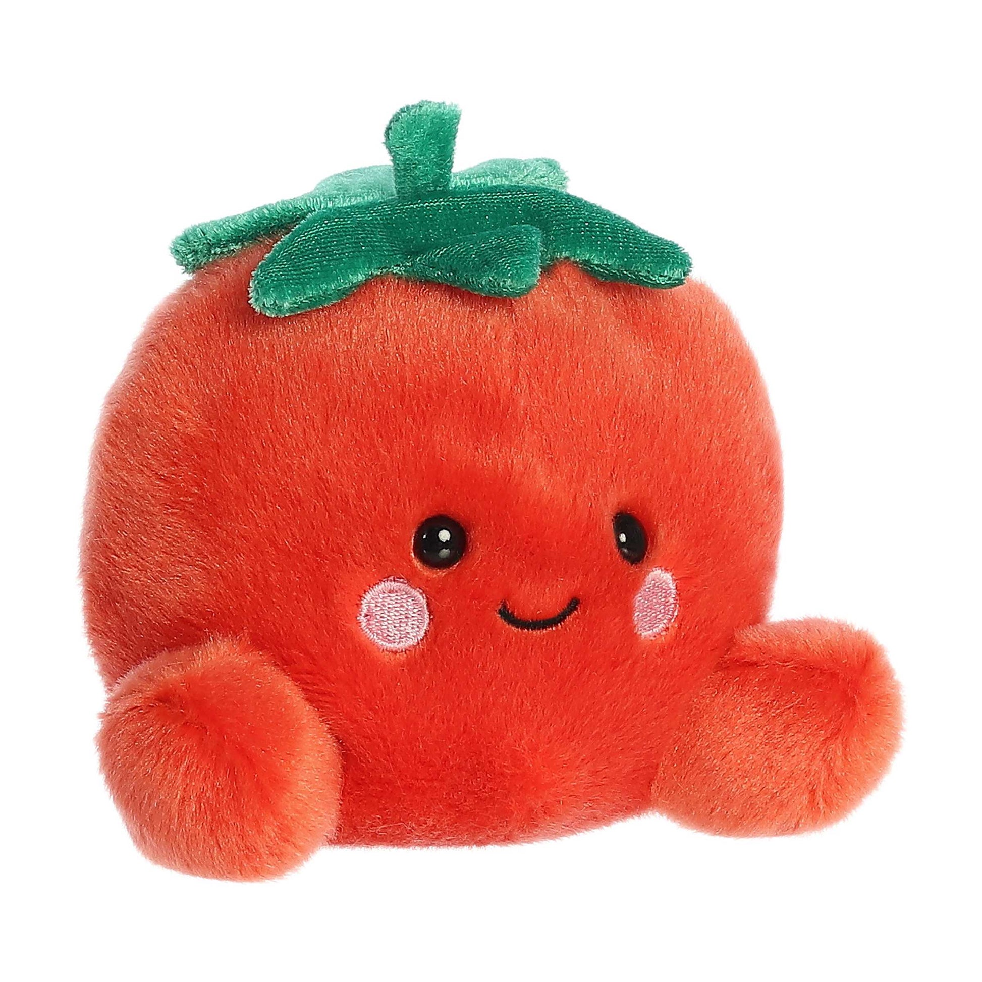 Palm Pals Boyd Tomato image 1