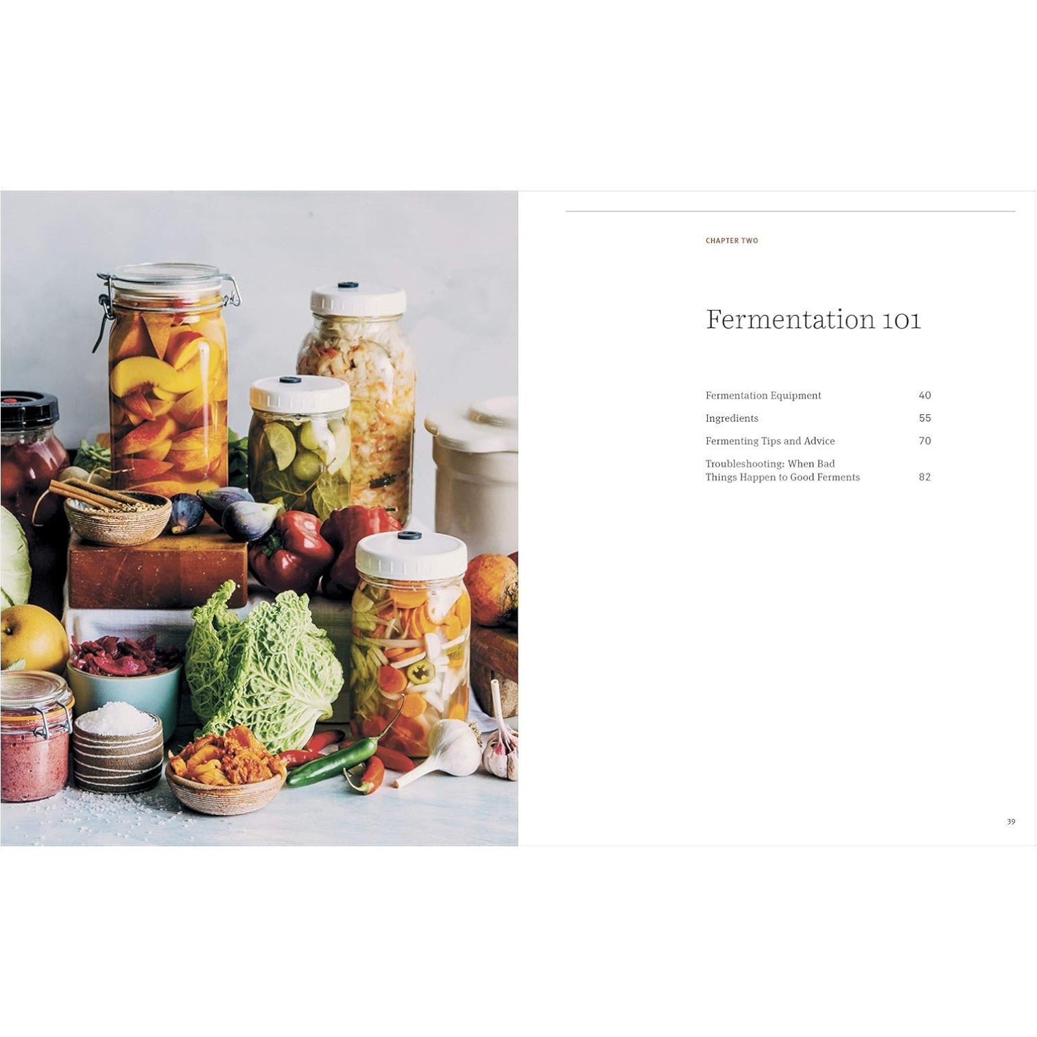 The Farmhouse Culture Guide to Fermenting: Crafting Live-Cultured Foods and Drinks with 100 Recipes from Kimchi to Kombucha[A Cookbook] image 5