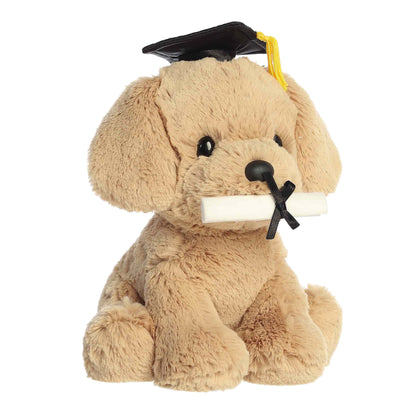 Plush dog toy with a graduation cap and diploma on a white background