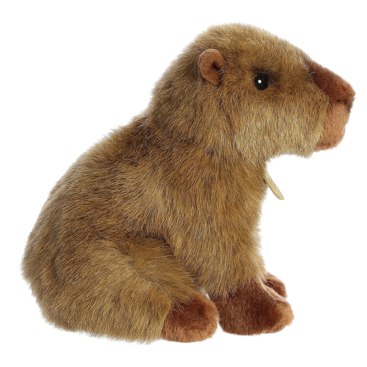 Aurora Miyoni Capybara lifelike plush stuffed animal with a sturdy sitting posture, rich brown textured fur, and gentle black eyes.