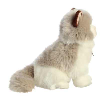 Aurora Miyoni Ragdoll Cat lifelike plush stuffed animal sitting with a white-grey coat, adorable blue eyes, and brown-tipped ears.
