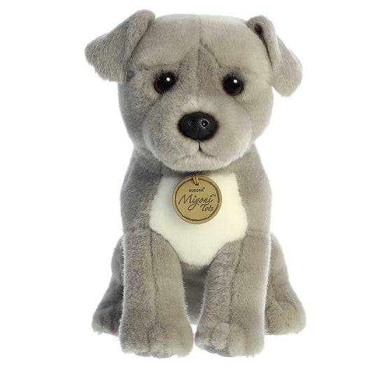Aurora Miyoni Tots Pit Bull Puppy lifelike baby plush stuffed animal sitting with soft grey fur, a white chest patch, and soulful dark eyes.