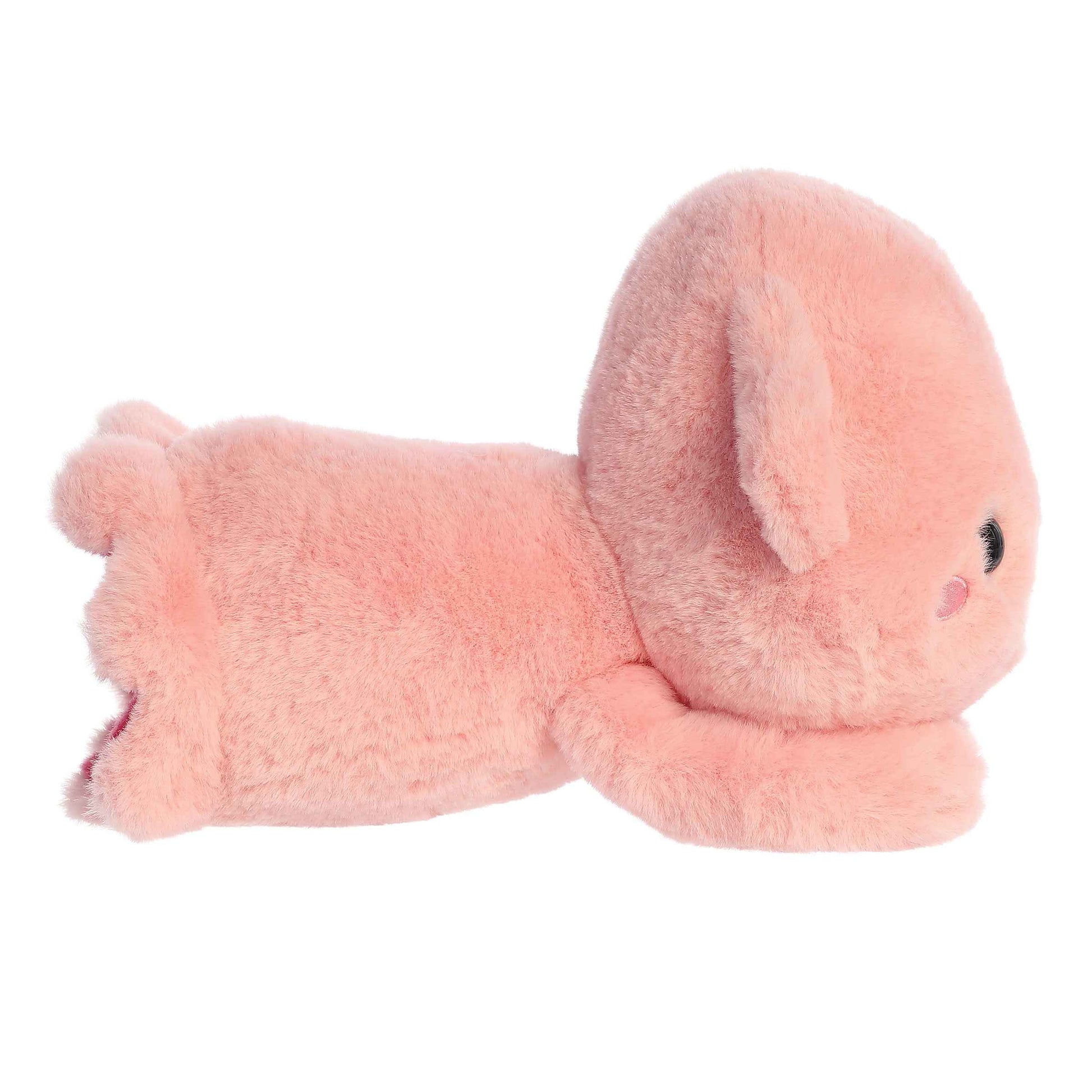 Aurora Too Cute Skyler Squid image 2