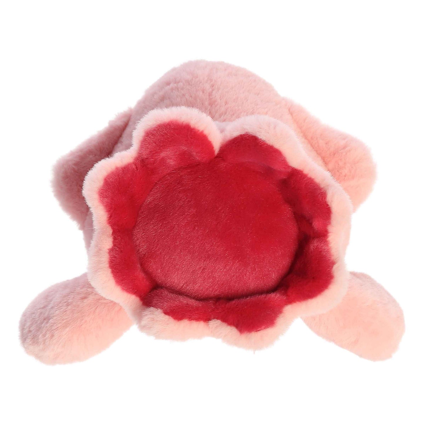 Aurora Too Cute Skyler Squid image 5