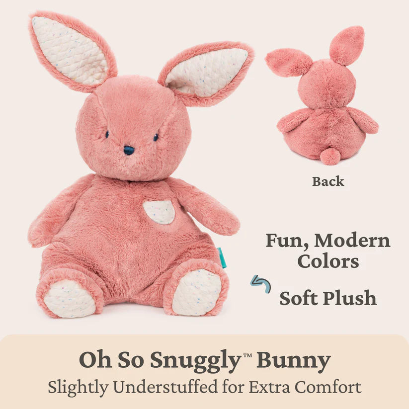 Pink plush bunny toy with text describing its features on a beige background