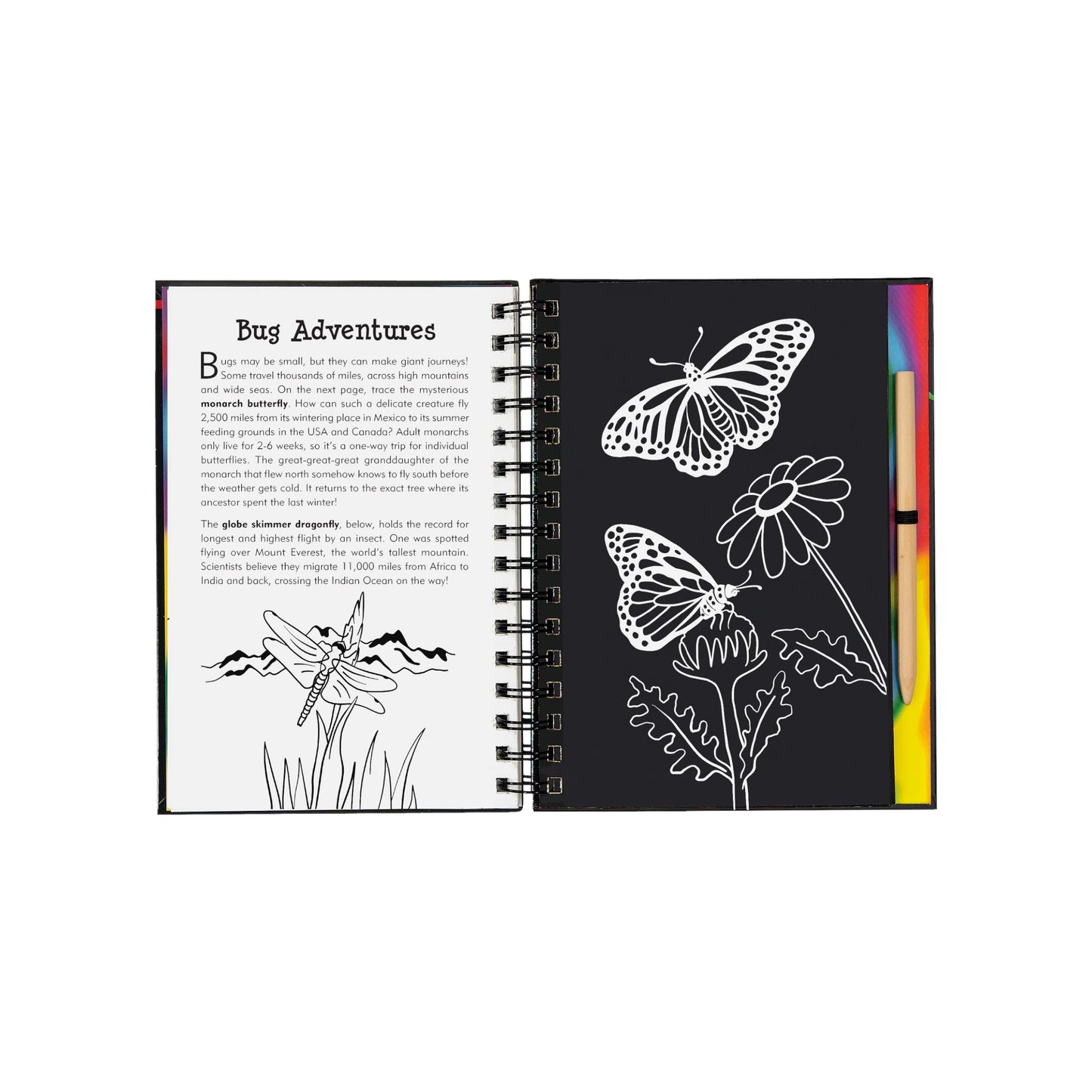 Bugs! Scratch and Sketch art activity book featuring a wooden stylus and black scratch-off pages revealing colorful patterns of butterflies and insects.