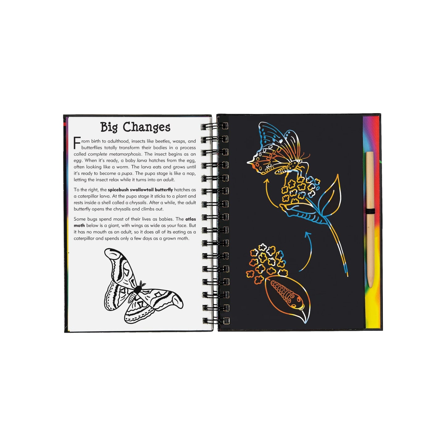 Bugs! Scratch and Sketch art activity book featuring a wooden stylus and black scratch-off pages revealing colorful patterns of butterflies and insects.