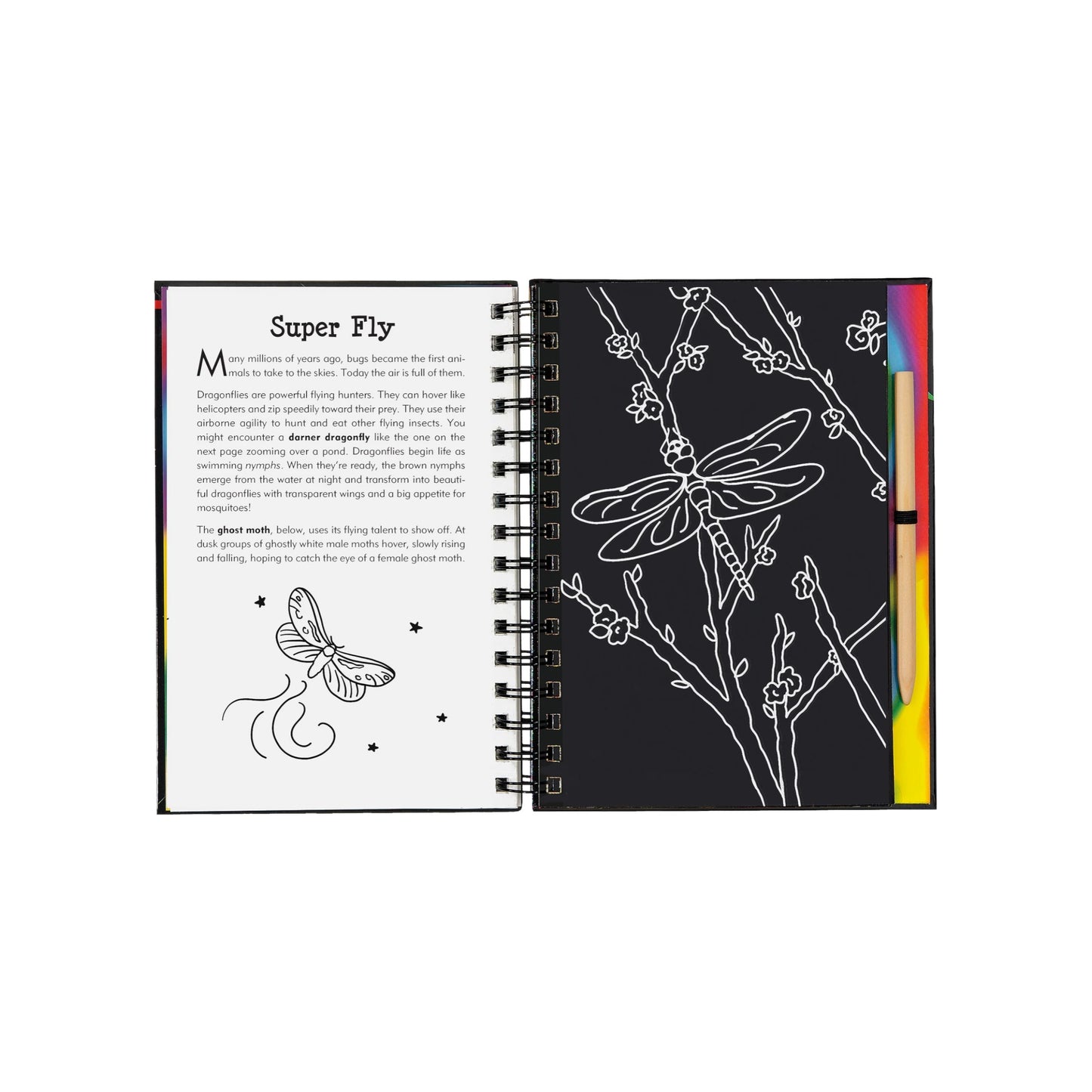 Bugs! Scratch and Sketch art activity book featuring a wooden stylus and black scratch-off pages revealing colorful patterns of butterflies and insects.