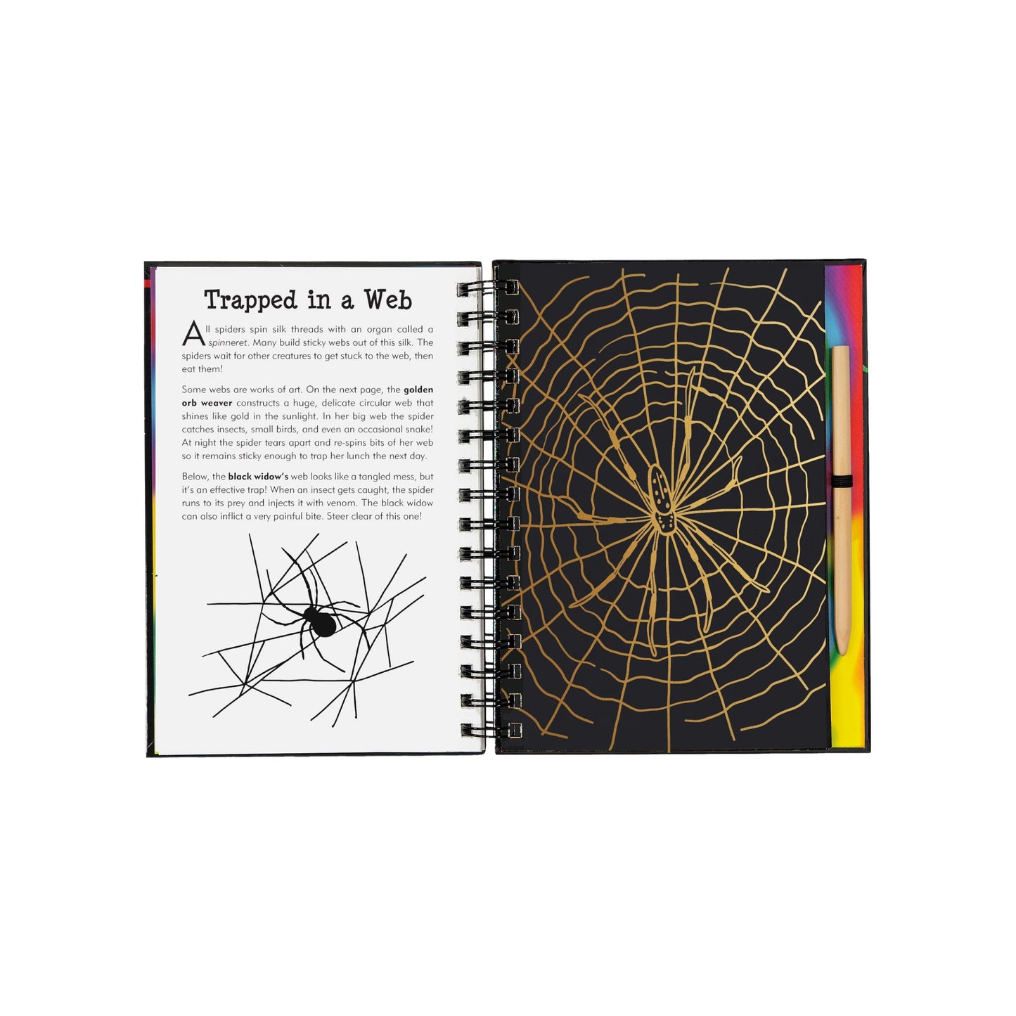Bugs! Scratch and Sketch art activity book featuring a wooden stylus and black scratch-off pages revealing colorful patterns of butterflies and insects.