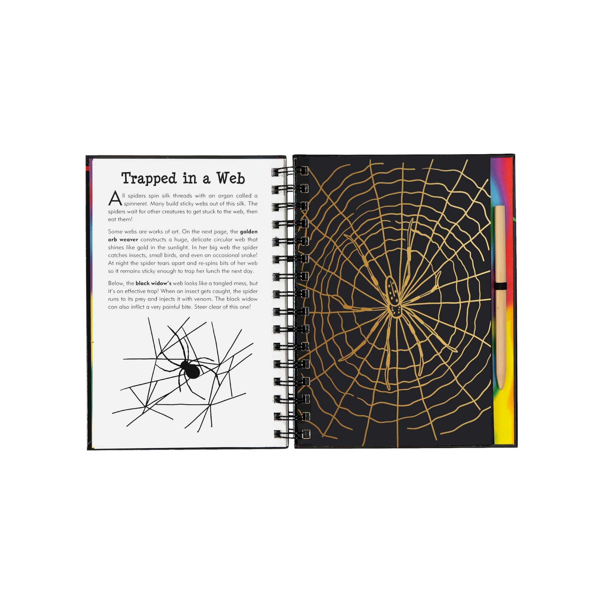Bugs! Scratch and Sketch art activity book featuring a wooden stylus and black scratch-off pages revealing colorful patterns of butterflies and insects.