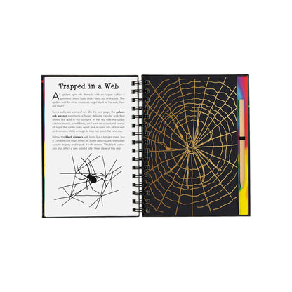 Bugs! Scratch and Sketch art activity book featuring a wooden stylus and black scratch-off pages revealing colorful patterns of butterflies and insects.