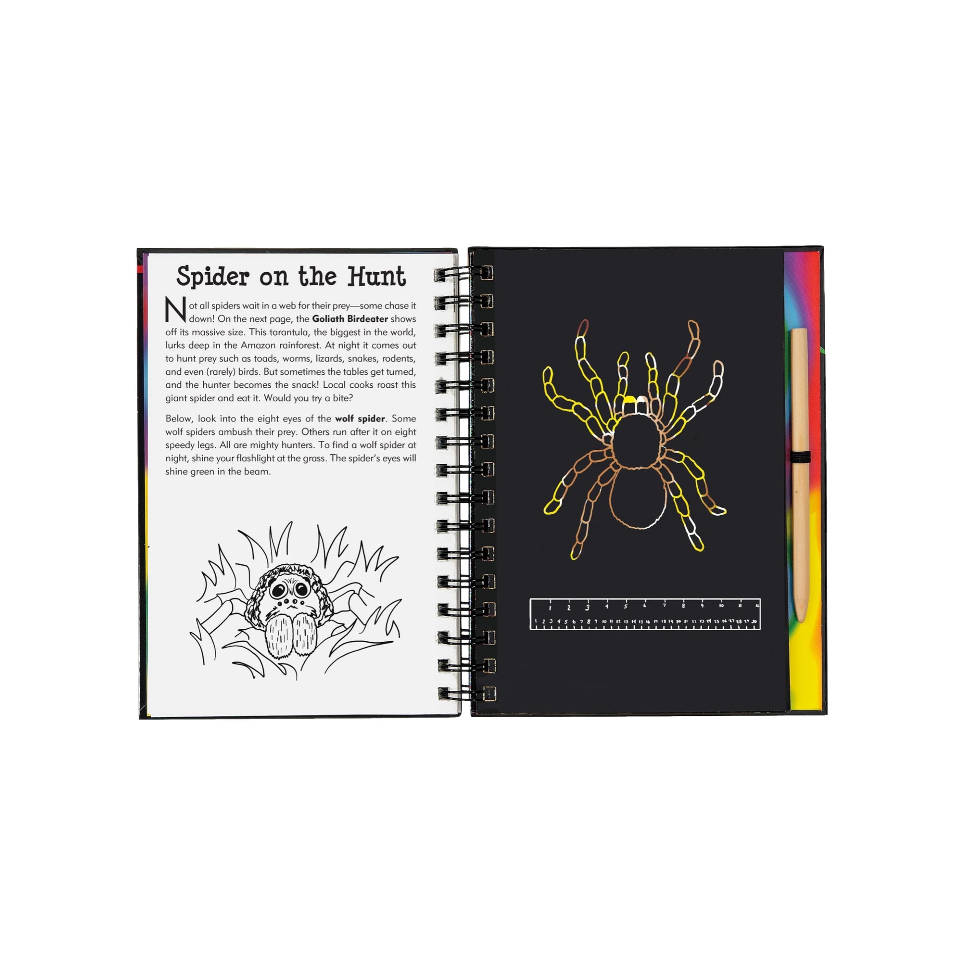 Bugs! Scratch and Sketch art activity book featuring a wooden stylus and black scratch-off pages revealing colorful patterns of butterflies and insects.