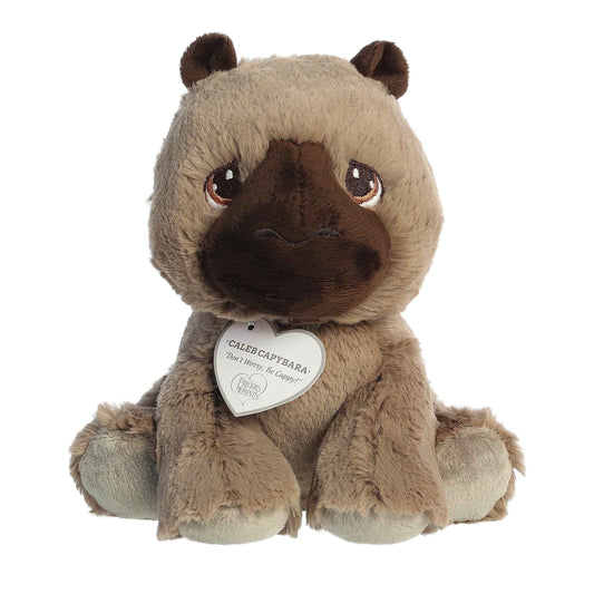 Aurora Precious Moments 8.5" Caleb Capybara image 0