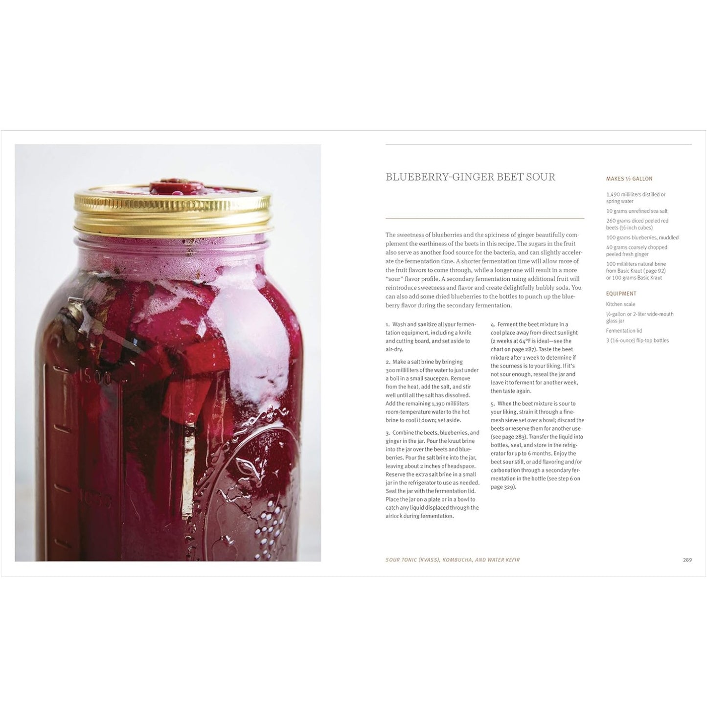 The Farmhouse Culture Guide to Fermenting: Crafting Live-Cultured Foods and Drinks with 100 Recipes from Kimchi to Kombucha[A Cookbook] image 4