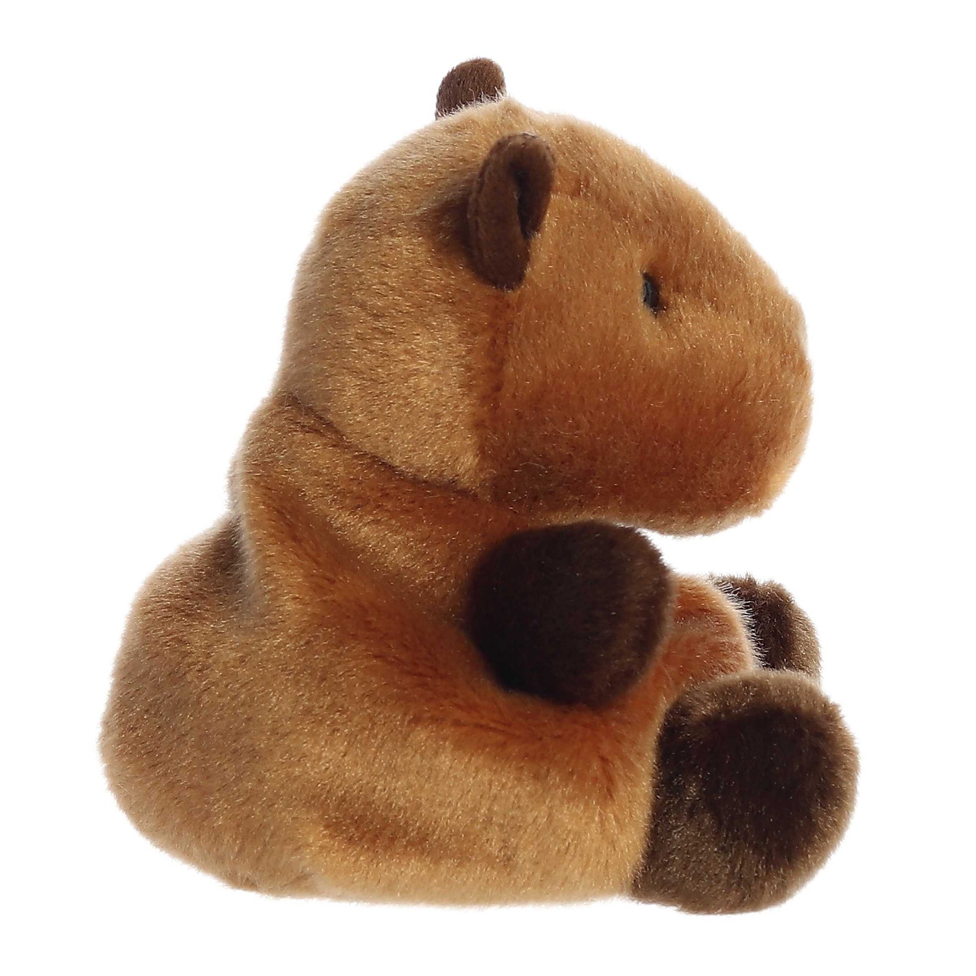 Palm Pals Sid Capybara image 2
