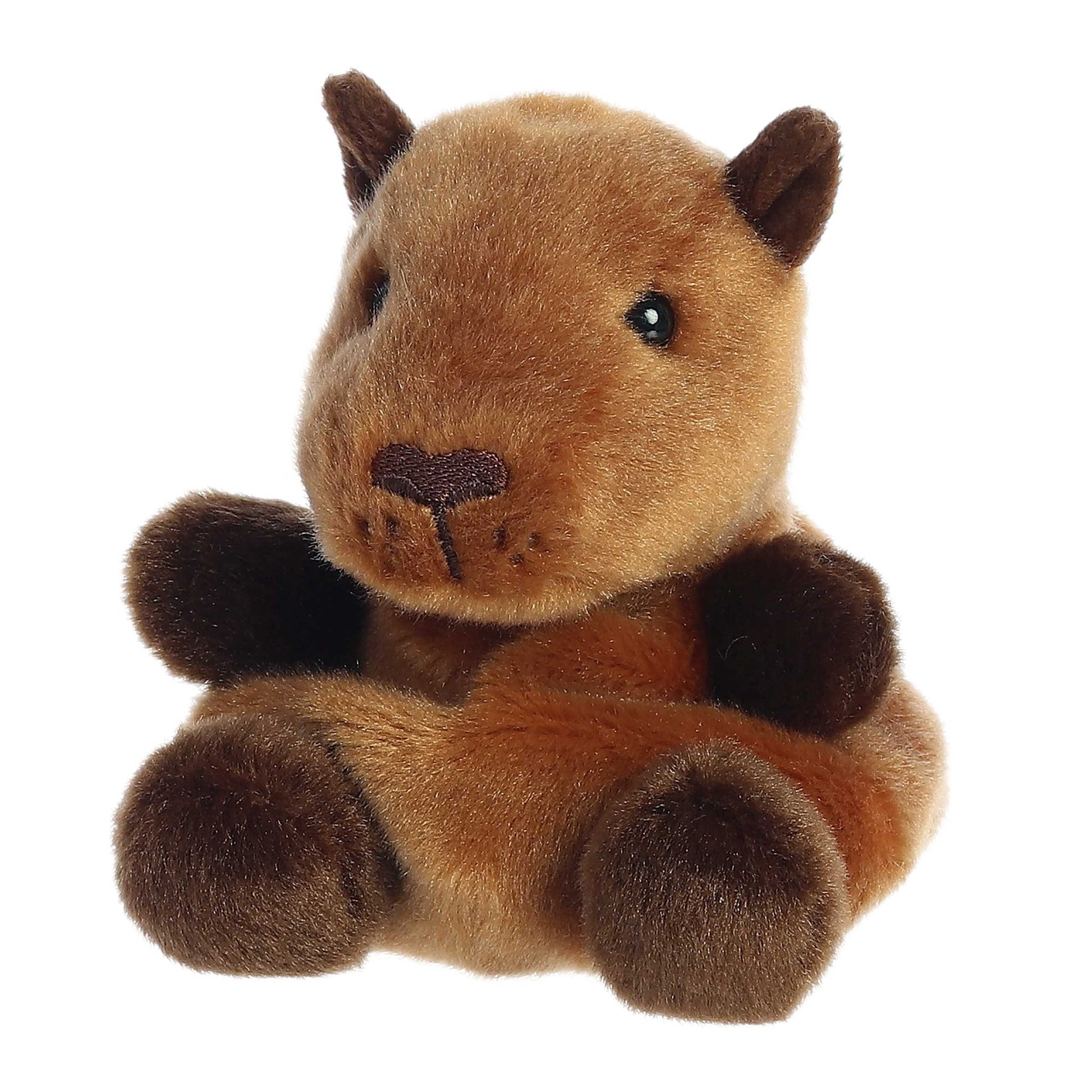 Palm Pals Sid Capybara image 4
