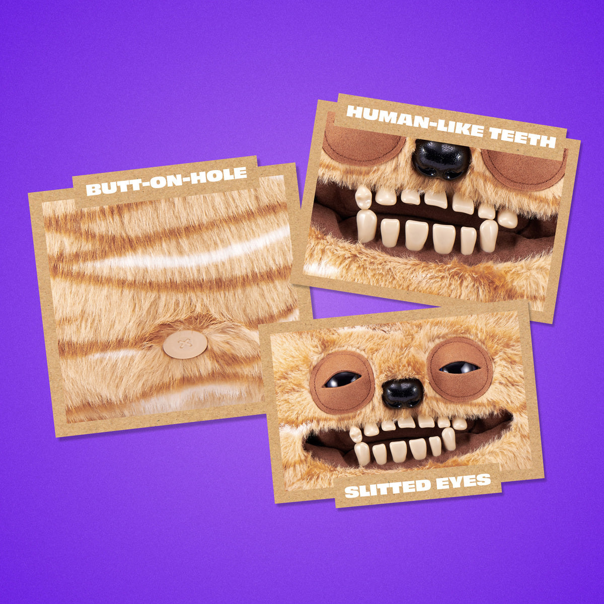 Three cardboard cutouts of a creature face with labeled features on a purple background