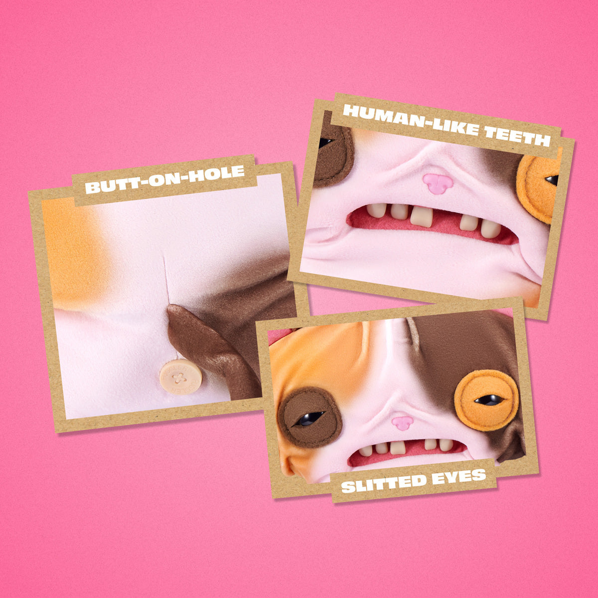 Close up of features with labels on a pink background