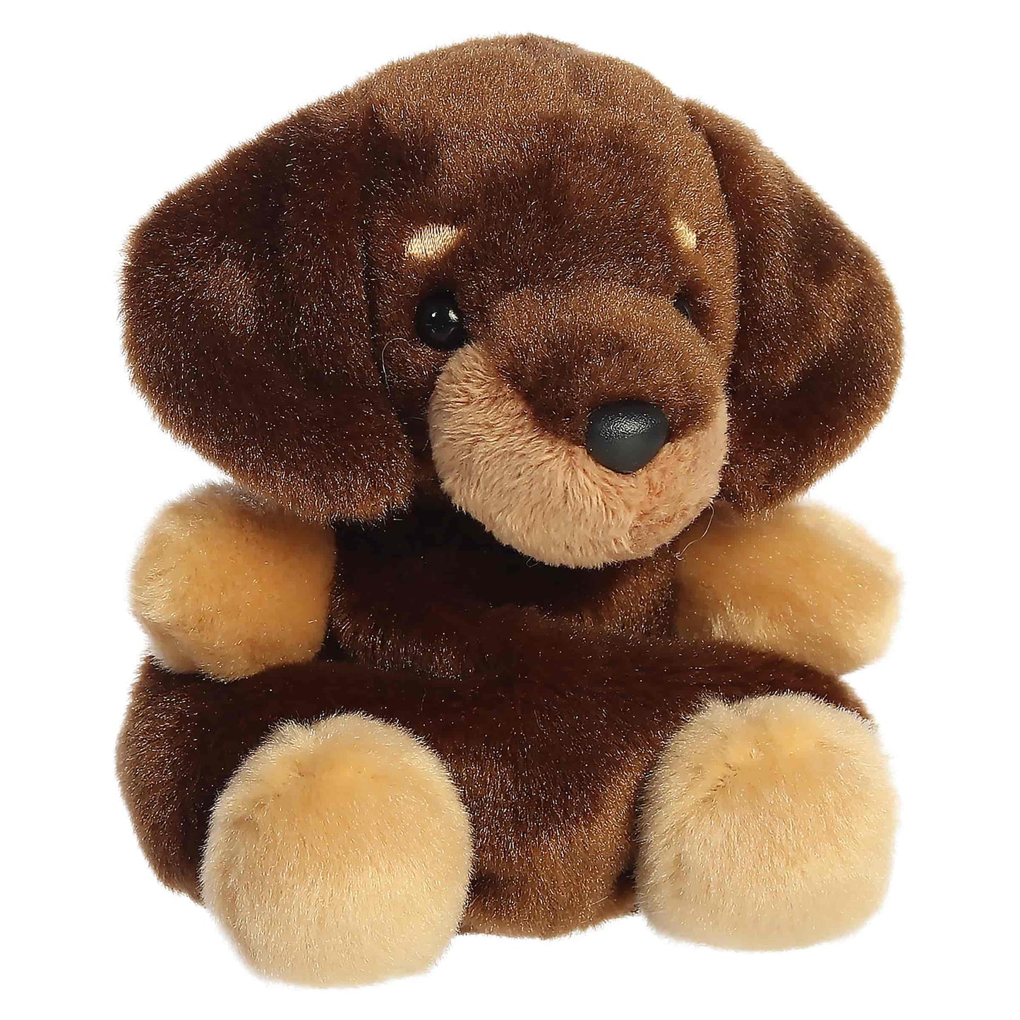 Palm Pals Houdini Dachshund plush featuring fluffy brown fur, a creamy muzzle, and sweet floppy ears.