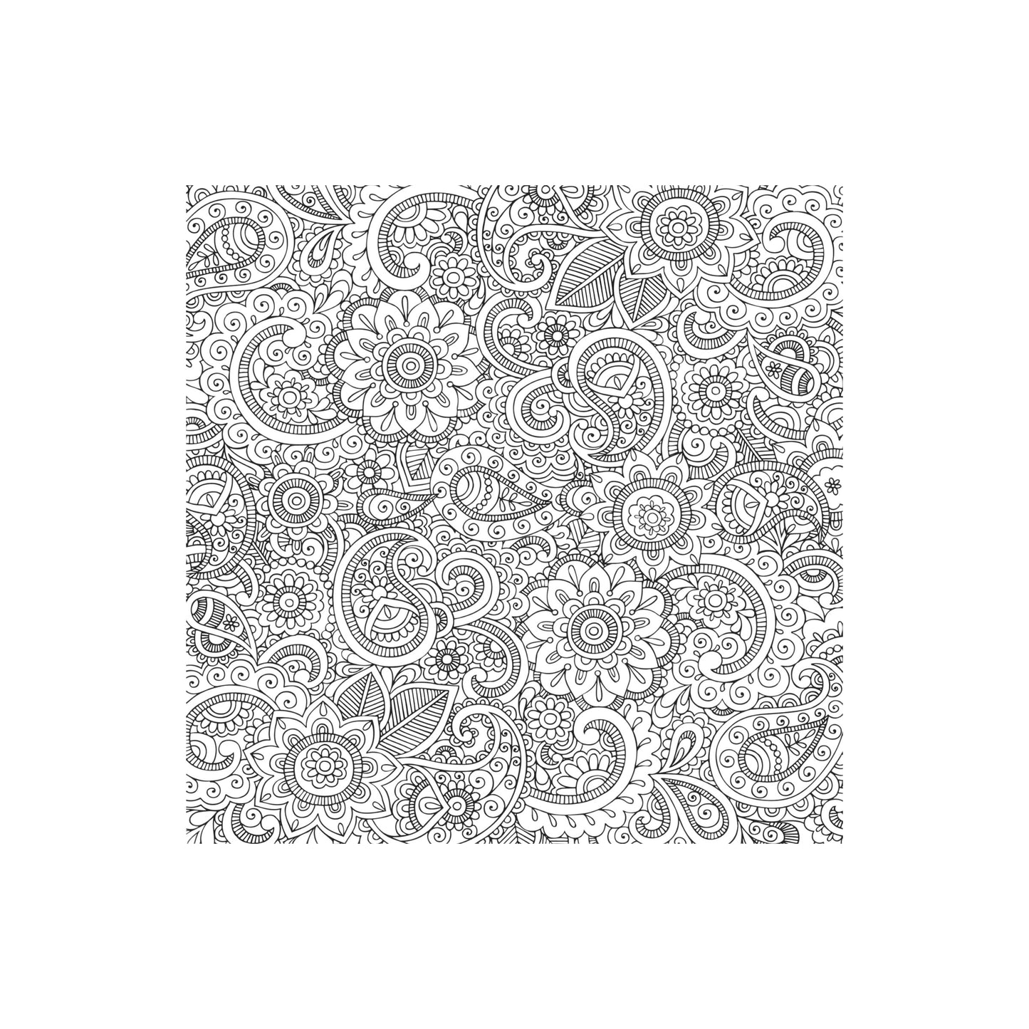 Peaceful Paisleys Artist's Coloring Book featuring a colorful intricate paisley cover design.