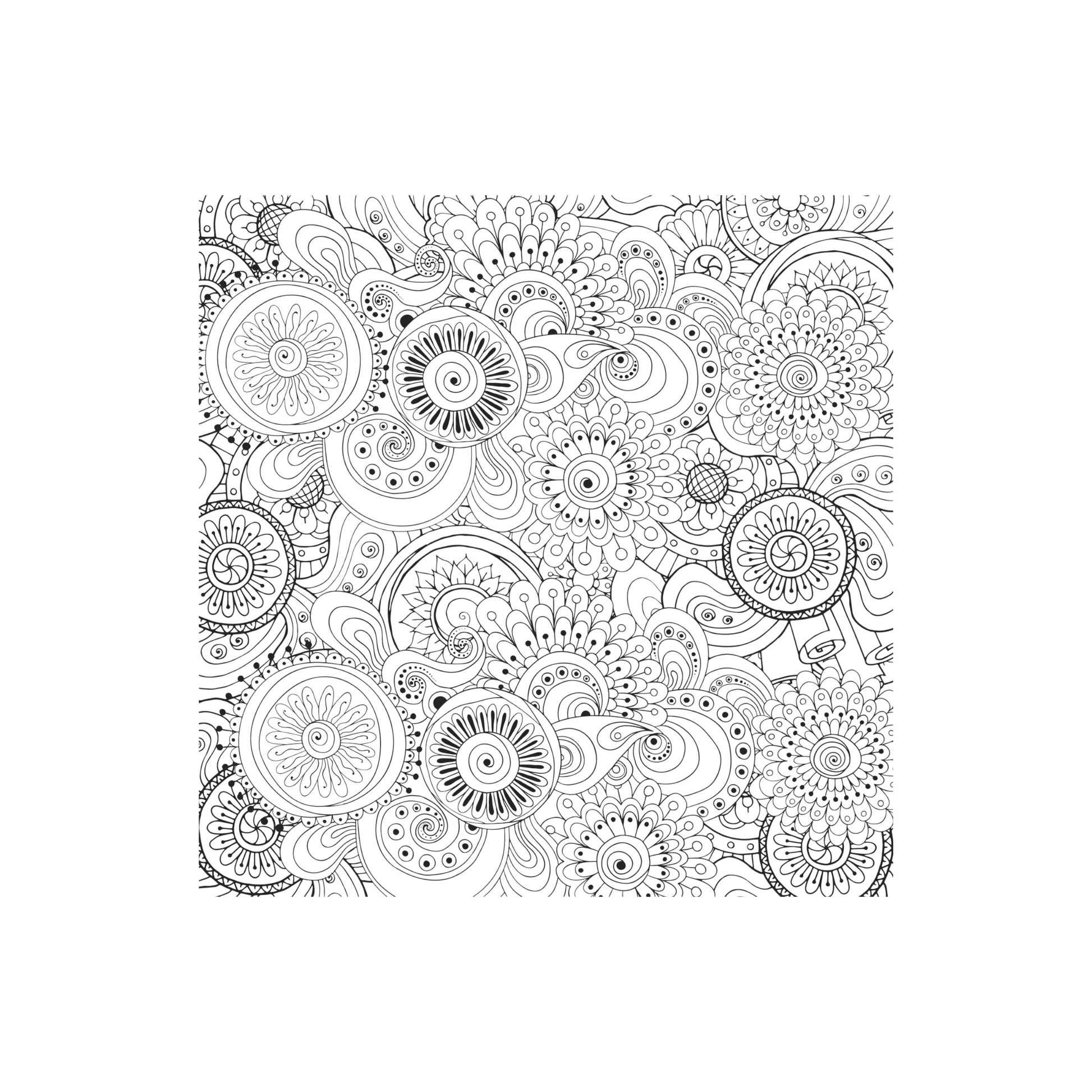 Peaceful Paisleys Artist's Coloring Book featuring a colorful intricate paisley cover design.