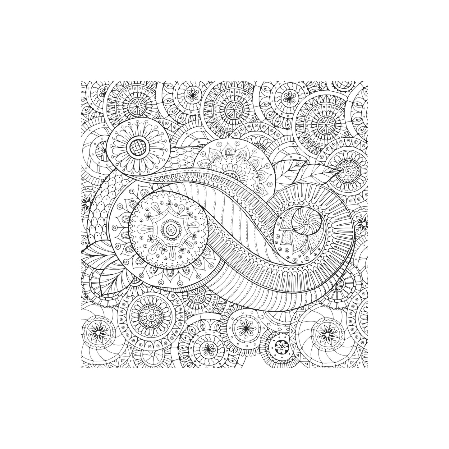 Peaceful Paisleys Artist's Coloring Book featuring a colorful intricate paisley cover design.