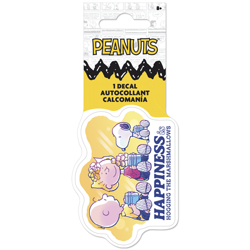 Officially licensed Peanuts single decal by Roomscapes featuring Charlie Brown, Sally, and Snoopy roasting marshmallows.
