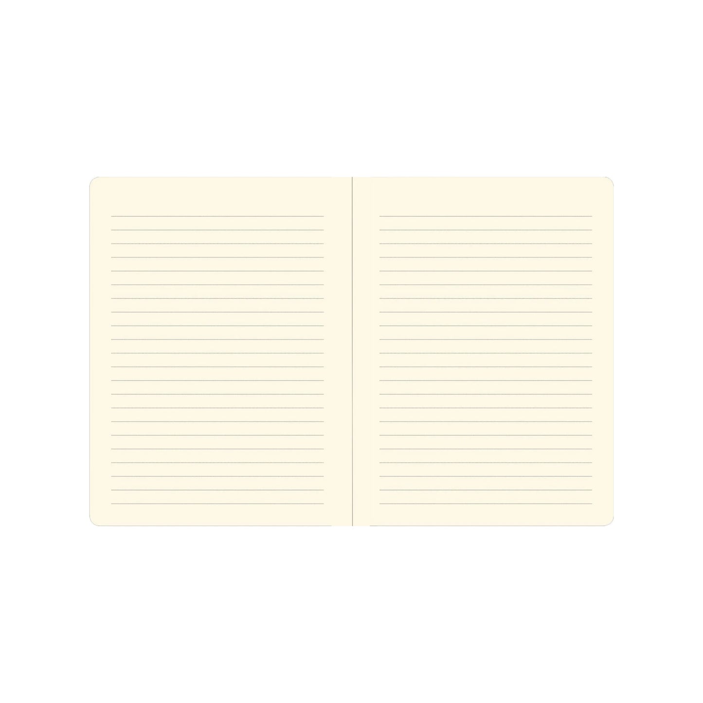 Two sheets of lined paper on a white background