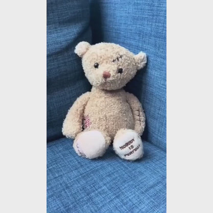 Bukowski Bears Nobody is Perfect plush bear featuring a stitched scar on the head, a red patch on the belly, and embroidered footpads.